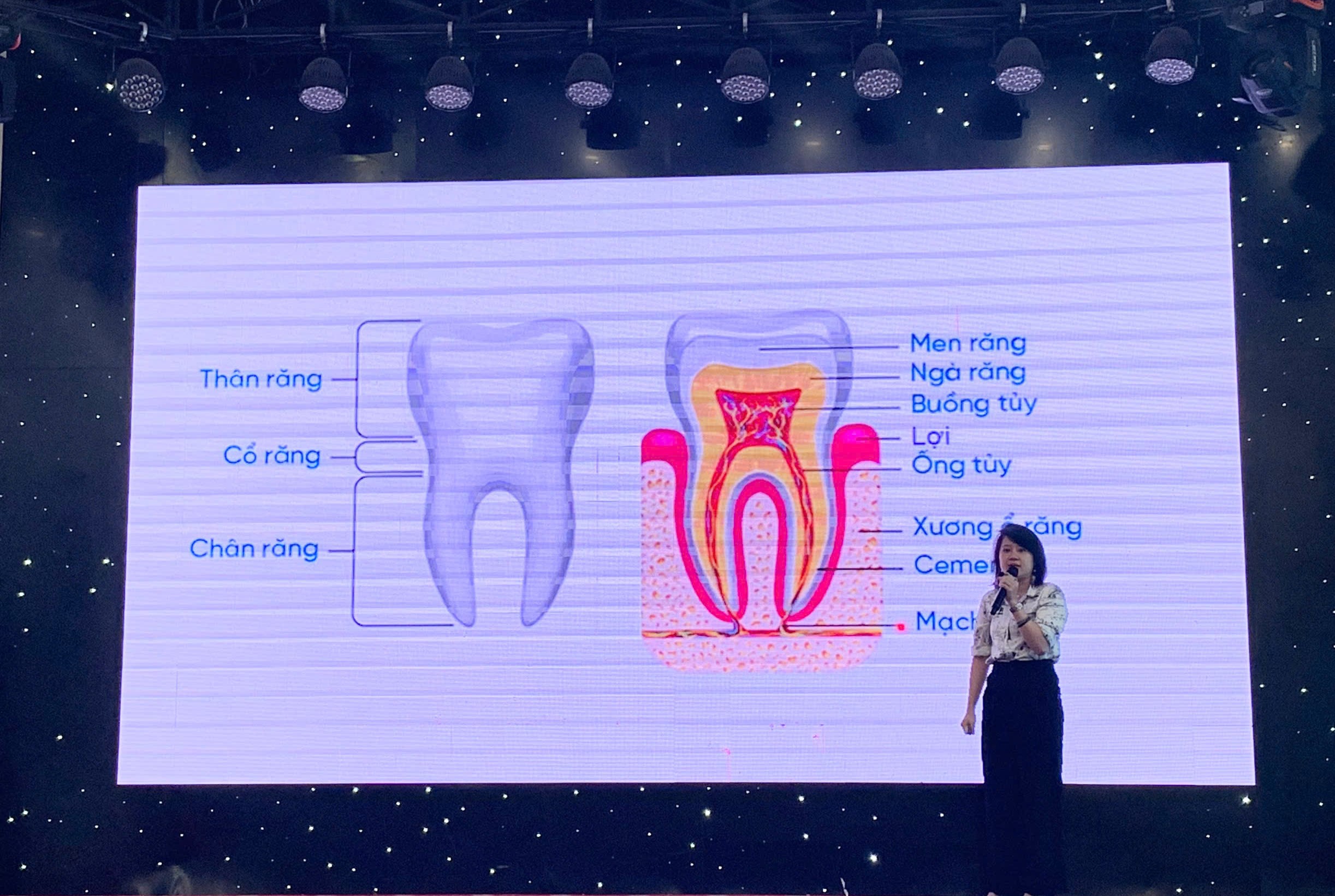 ThS.BSNT. Nguyễn Thu Lan, Khoa Điều trị Nội nha trình bày về sơ cứu chấn thương răng trẻ em